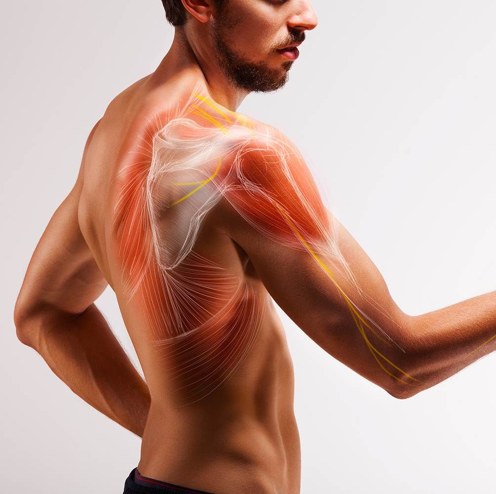 Man,With,Extended,Arm.,Illustrated,Representation,Of,The,Tendon,,Scapula Man with extended arm. Illustrated representation of the tendon, scapula and nerves of the human arm.